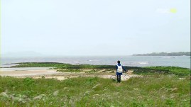 Heartstrings.E01.XviD-HANrel.avi_000495028