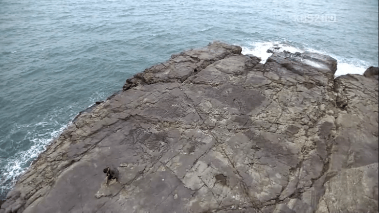 vlcsnap-2012-04-01-23h35m08s218