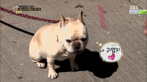 도시의 법칙 in 뉴욕.E03.140625.HDTV.H264.720p-WITH.mp4_000689088