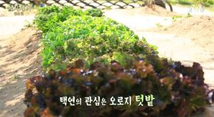 [tvN] TMAD E04.avi_20150608_213910.009
