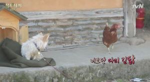 [tvN] TMAD E04.avi_20150608_222202.689